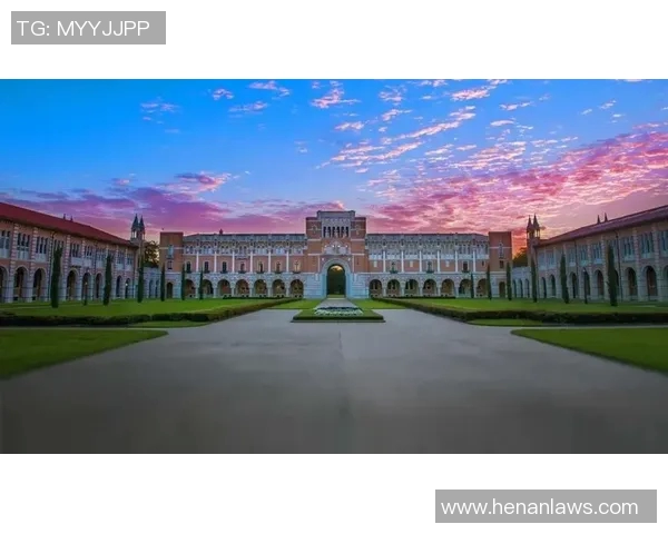 赖斯的崛起与挑战：解析其在国际关系中的影响力与未来走向